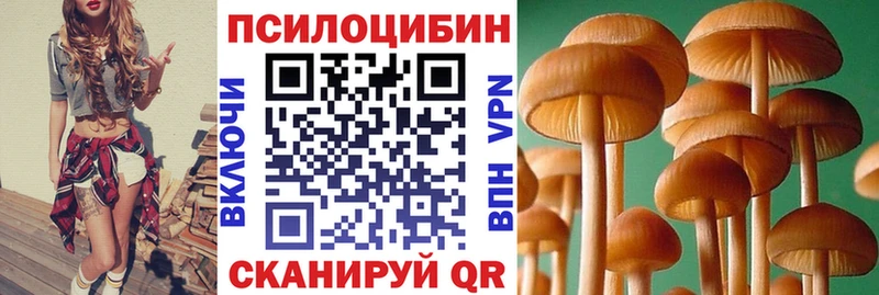 Псилоцибиновые грибы Cubensis  Якутск 