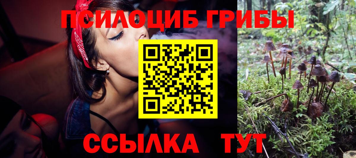 Псилоцибиновые грибы Magic Shrooms Якутск