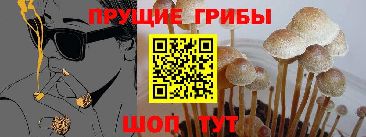Галлюциногенные грибы мухоморы  Галлюциногенные грибы мицелий  Якутск  Вход с VPN 