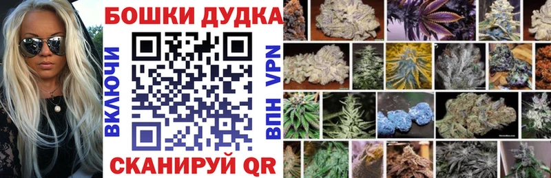 Конопля сатива  купить наркотики цена  Якутск 